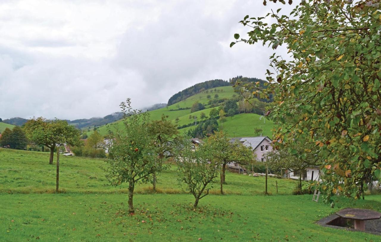 2 Bedroom Awesome Apartment In Welschensteinach Bagian luar foto